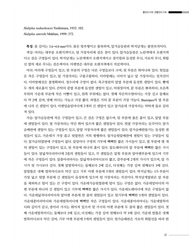 37페이지