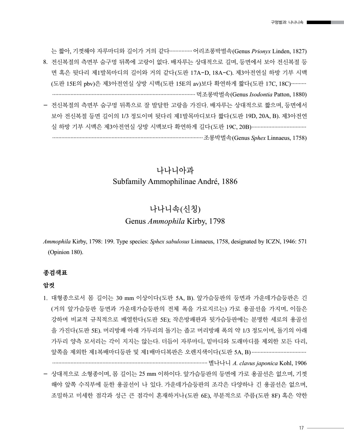 페이지