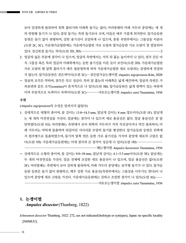10페이지