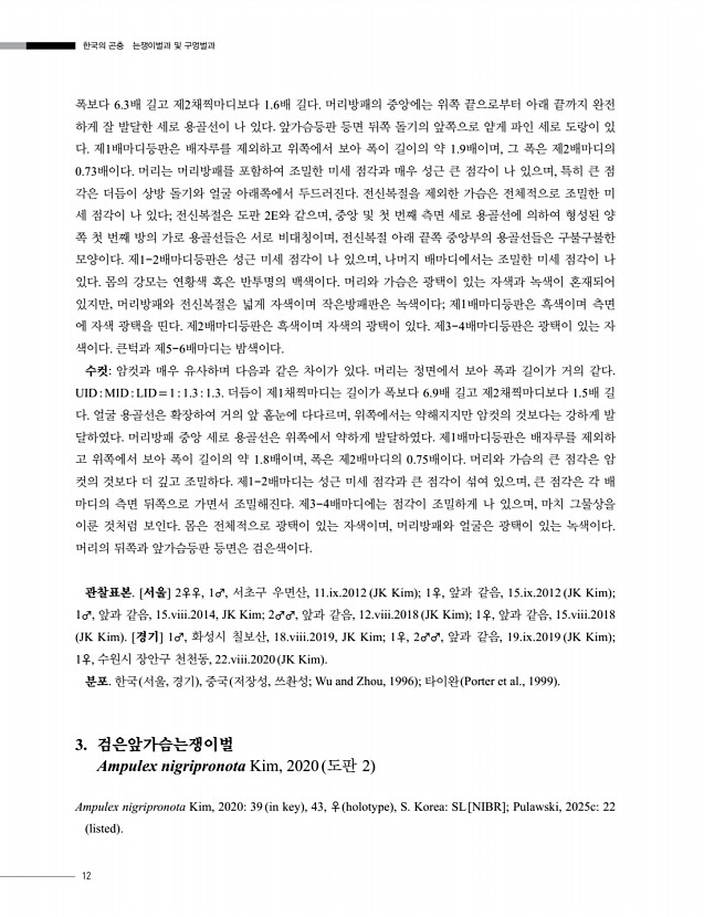 12페이지
