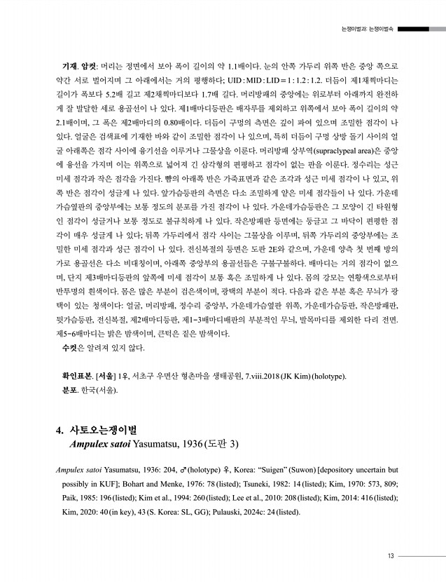13페이지