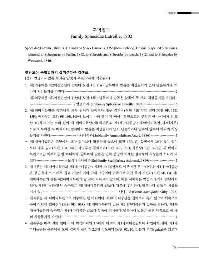 15페이지