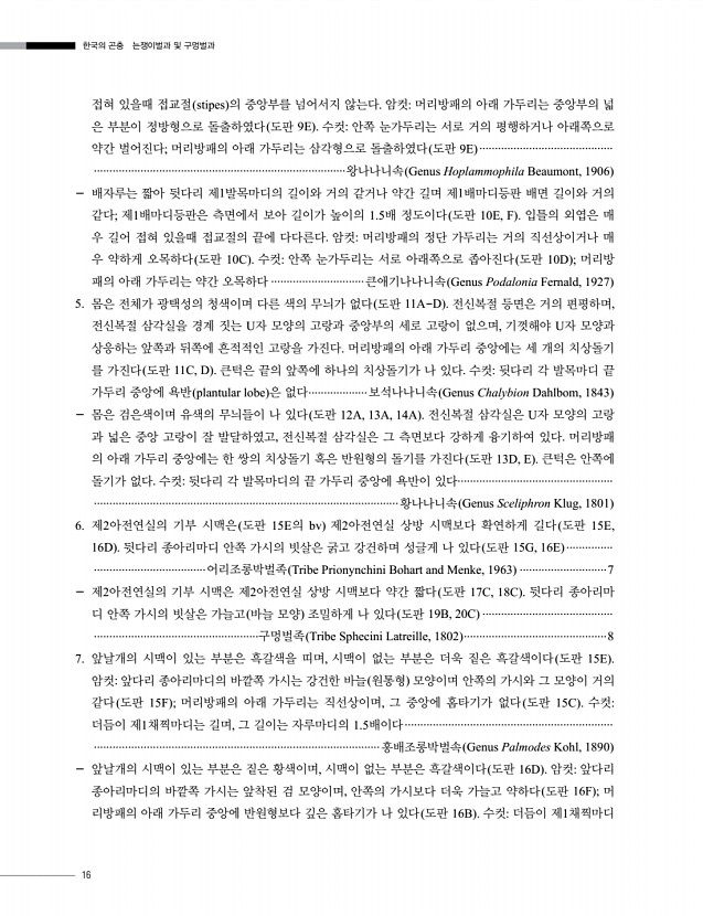 16페이지