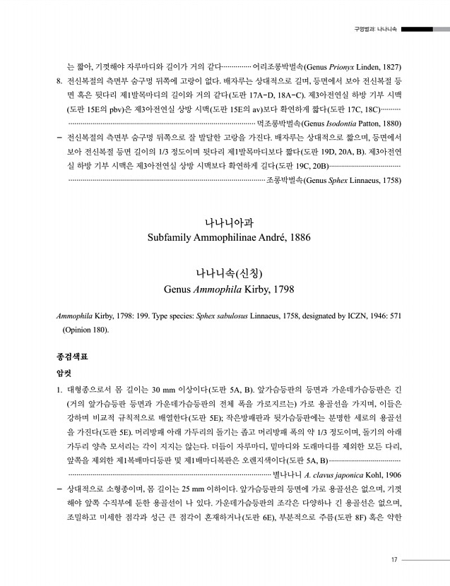 17페이지