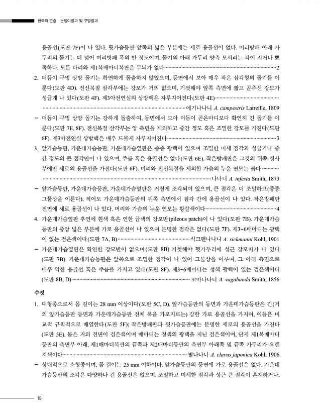 18페이지