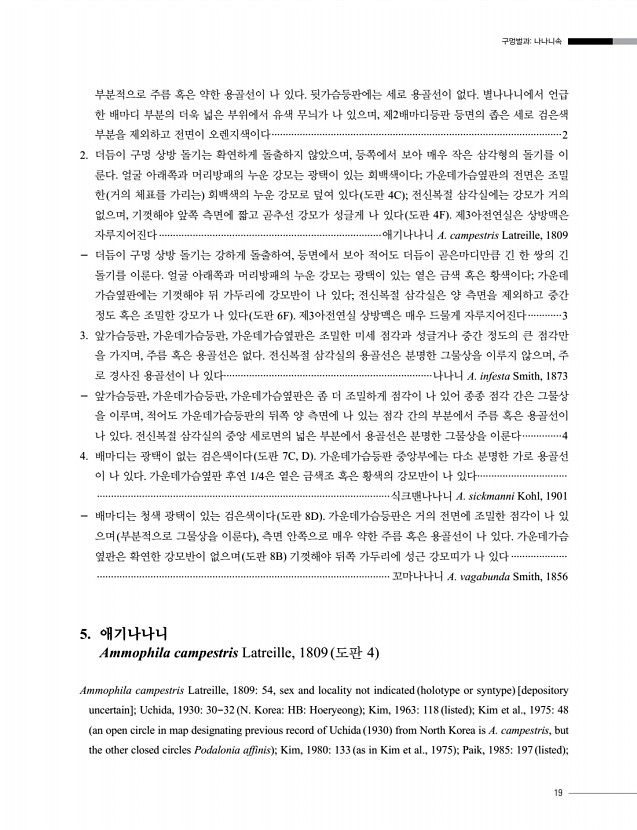 19페이지