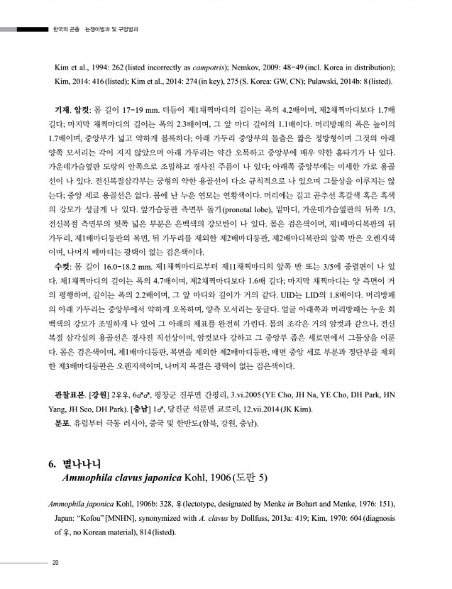 20페이지