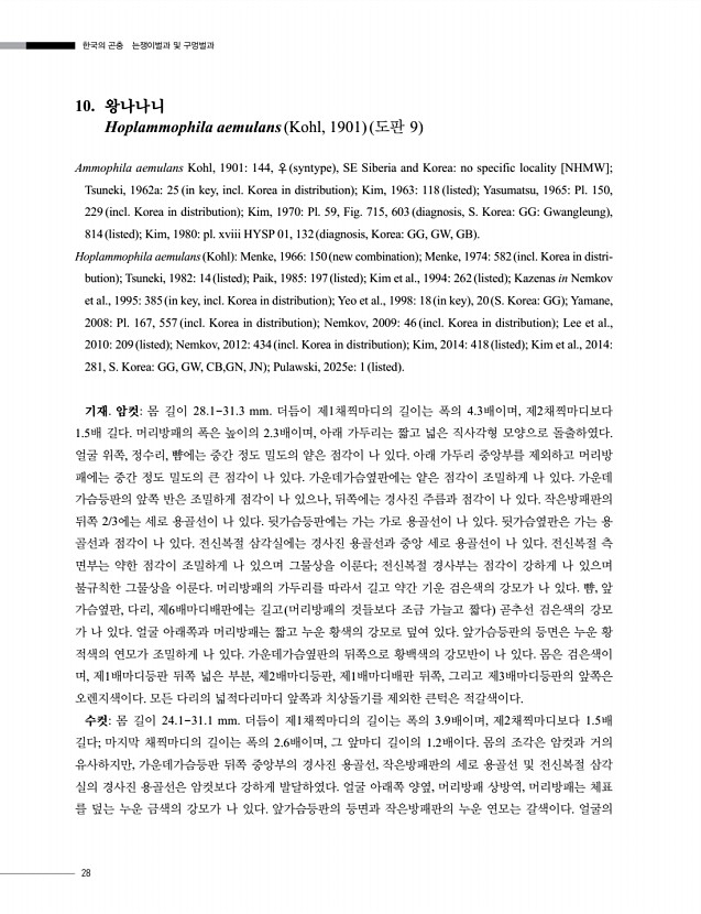 28페이지