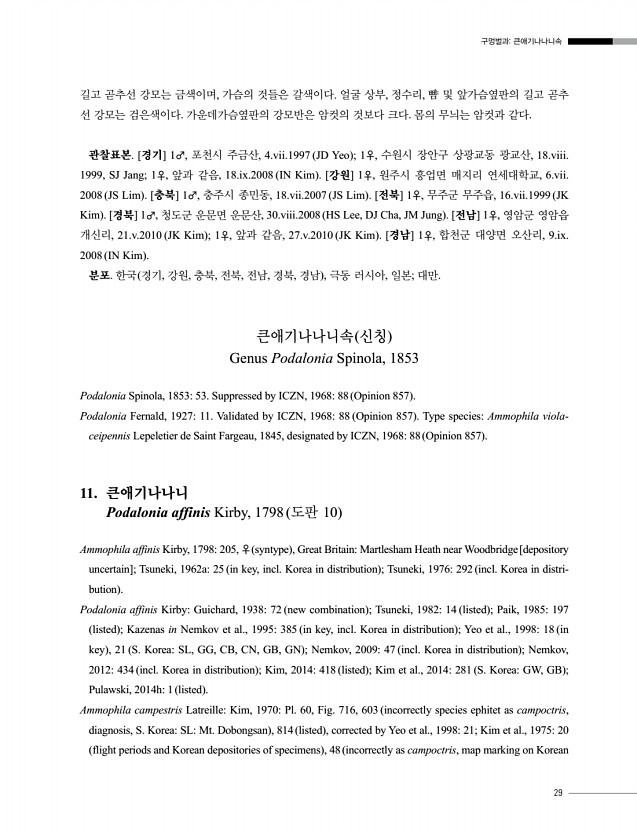 29페이지