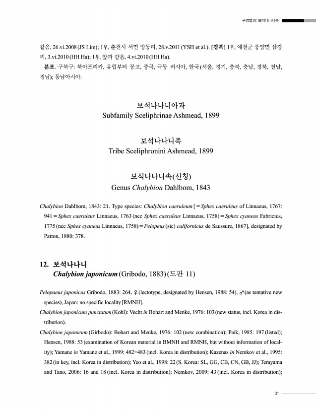 31페이지