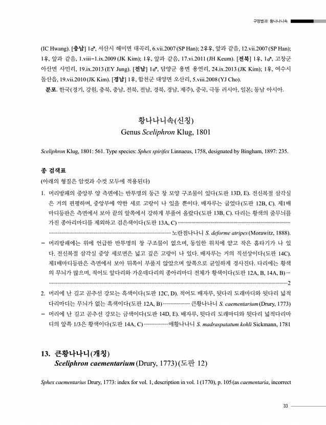 33페이지
