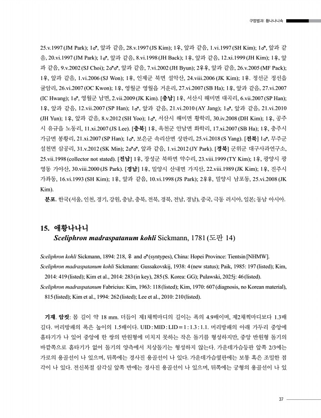 37페이지