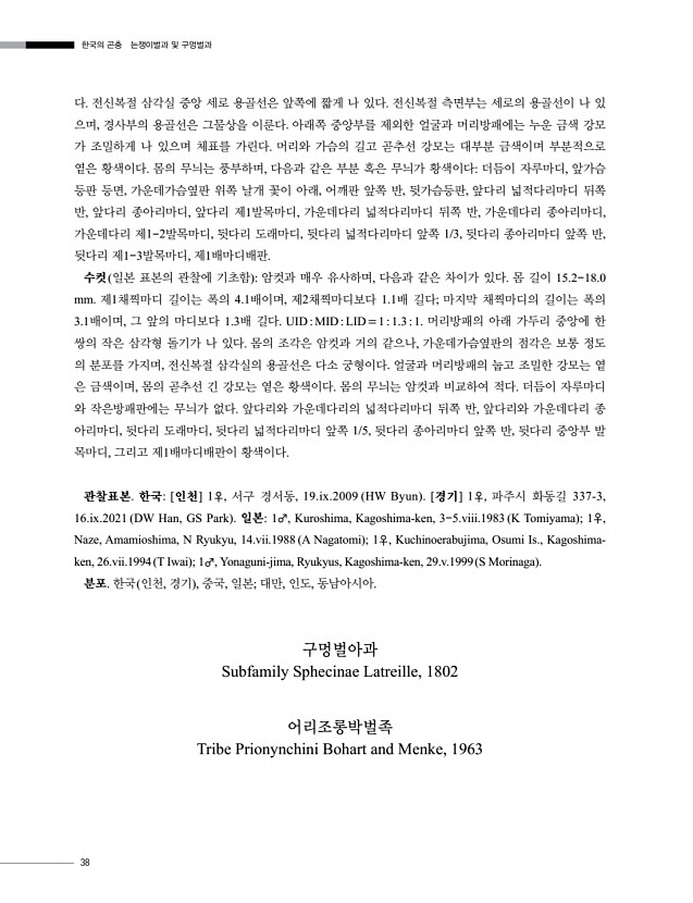 38페이지