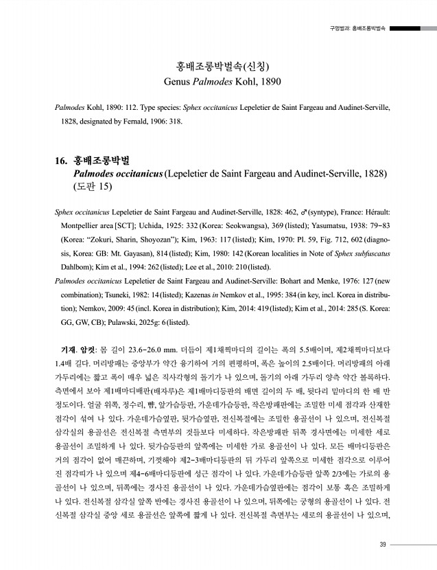 39페이지