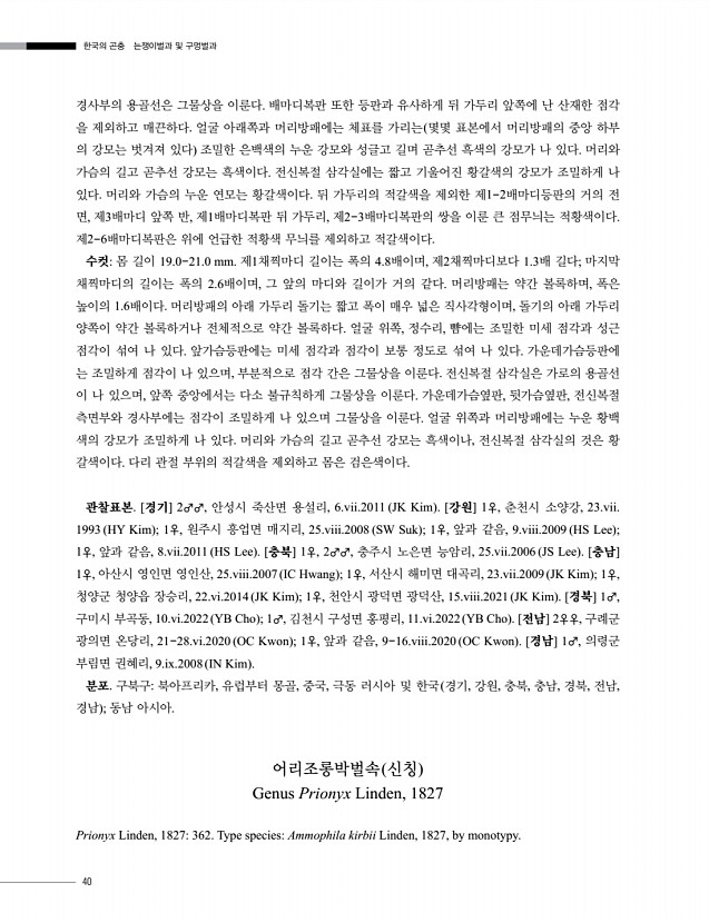 40페이지