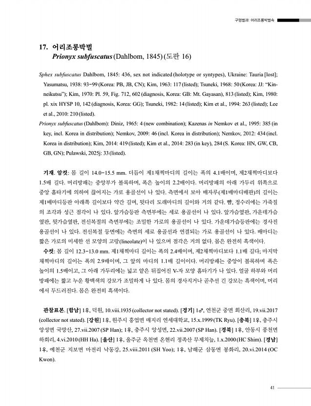 41페이지