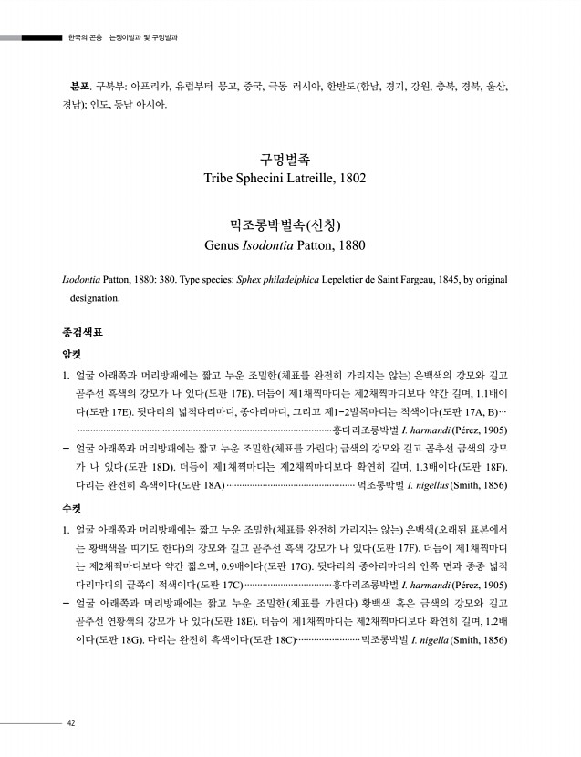 42페이지