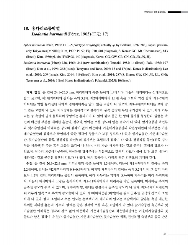 43페이지