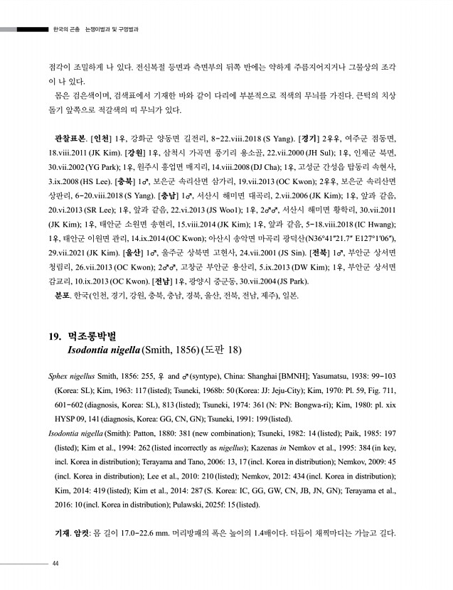 44페이지