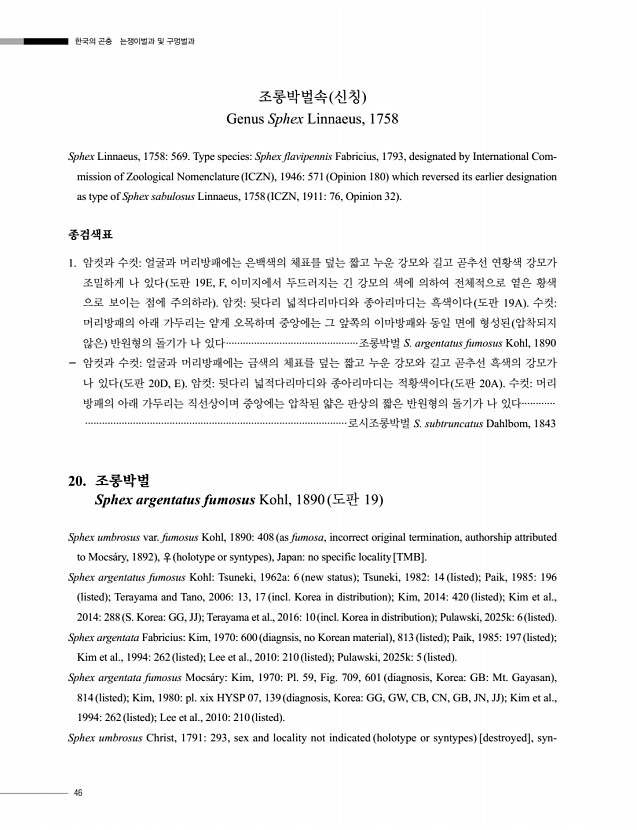 46페이지