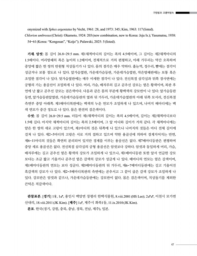 47페이지