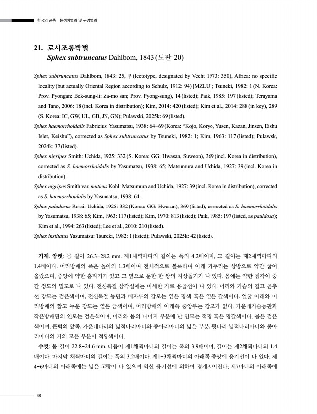 48페이지