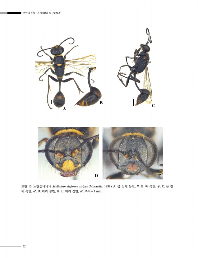 72페이지
