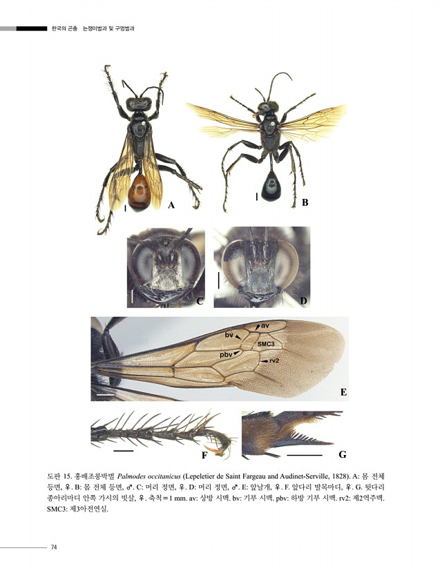 74페이지