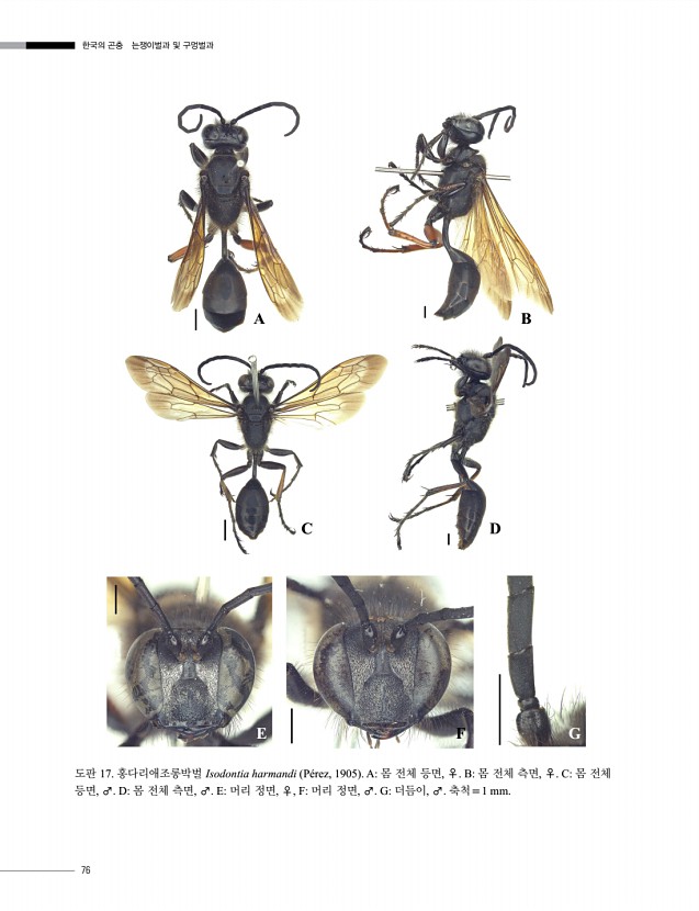 76페이지