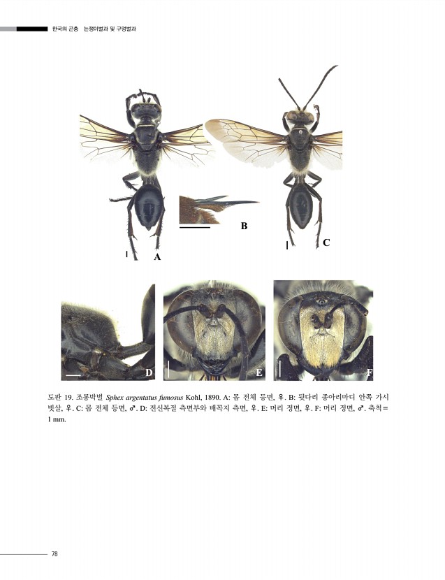 78페이지