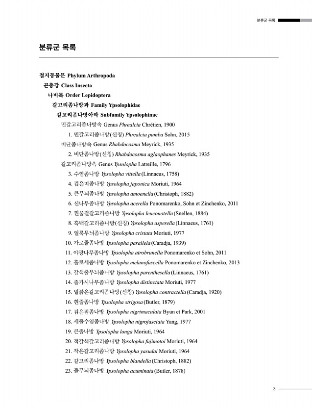 3페이지