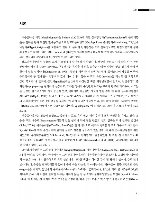 5페이지