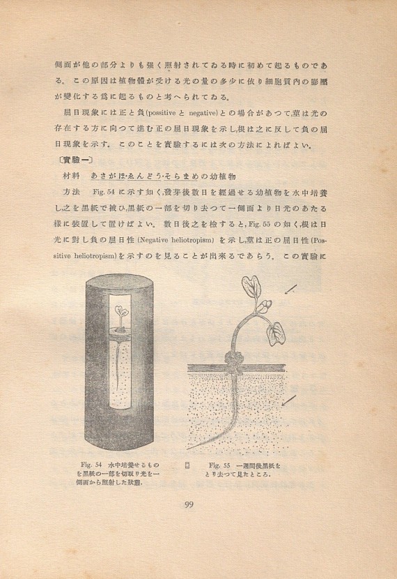 137페이지