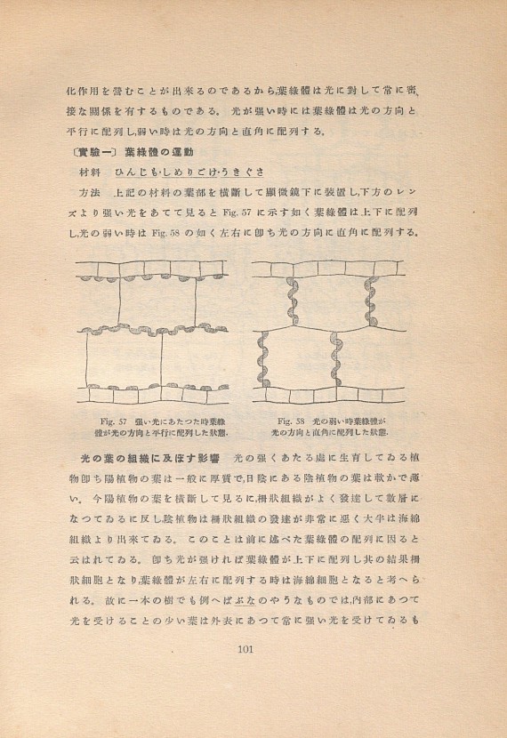139페이지