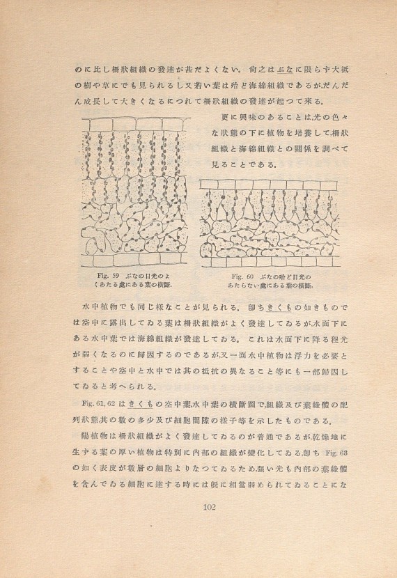 140페이지