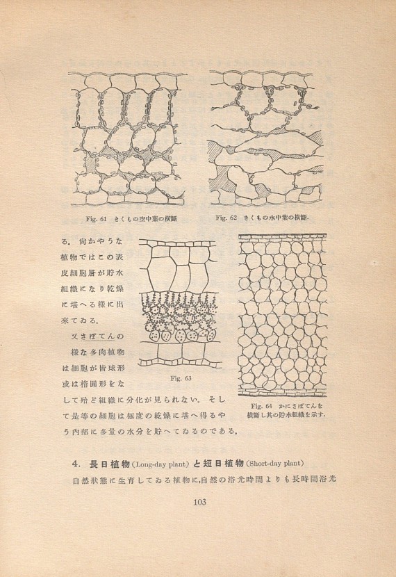 141페이지