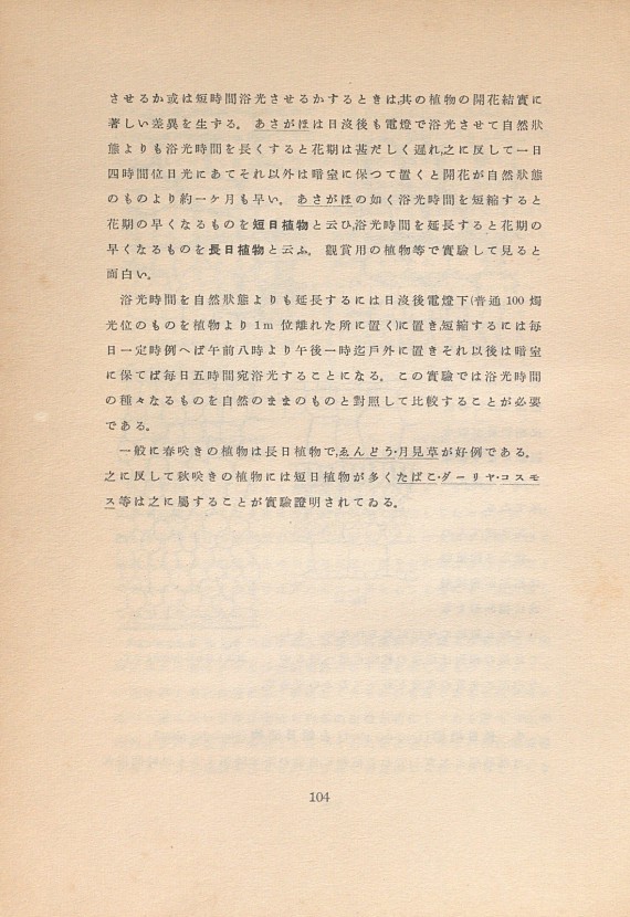 142페이지