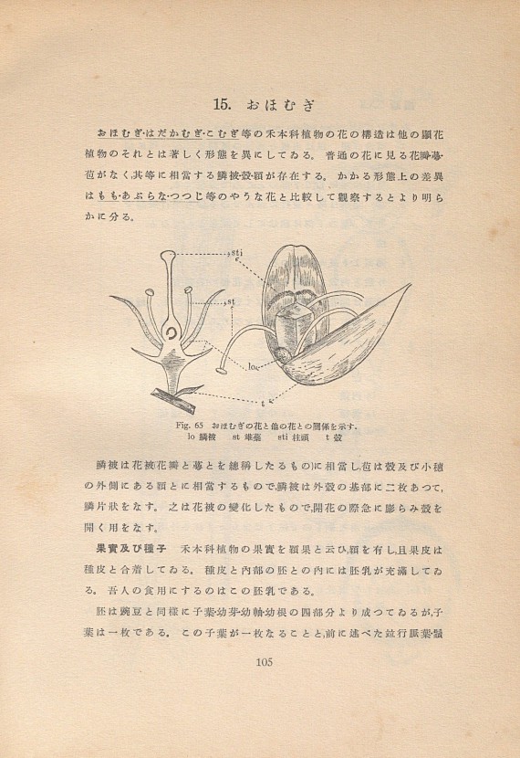 143페이지