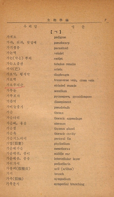 페이지