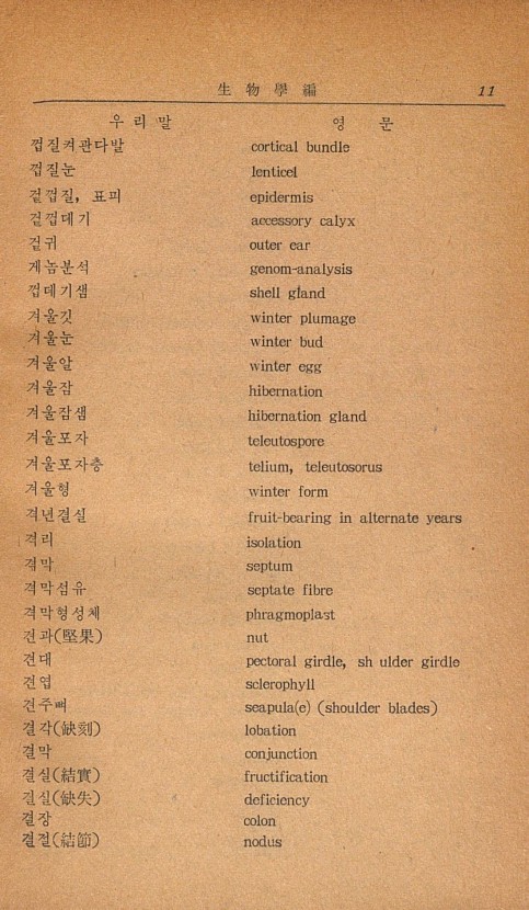4페이지