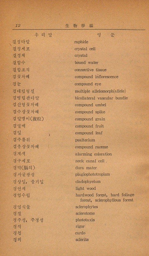 5페이지