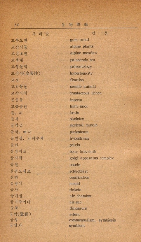7페이지