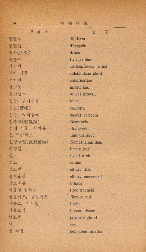 44페이지