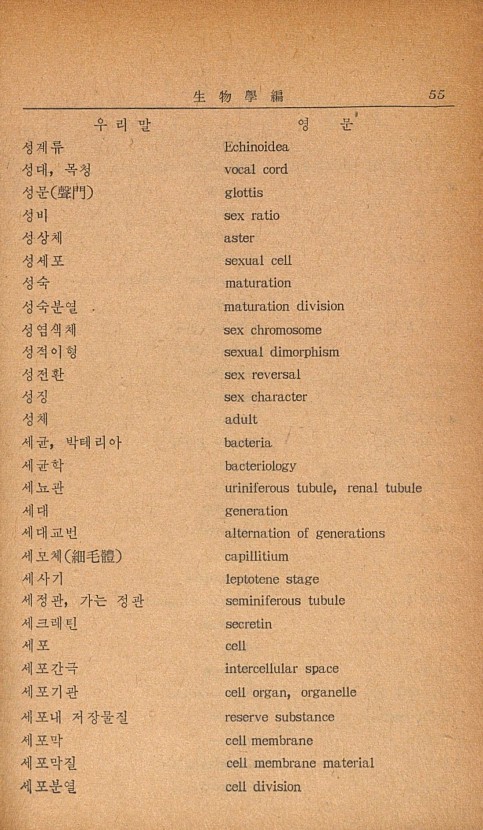 45페이지