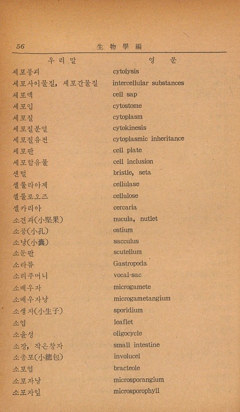 46페이지