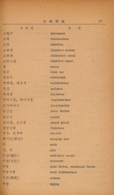 47페이지