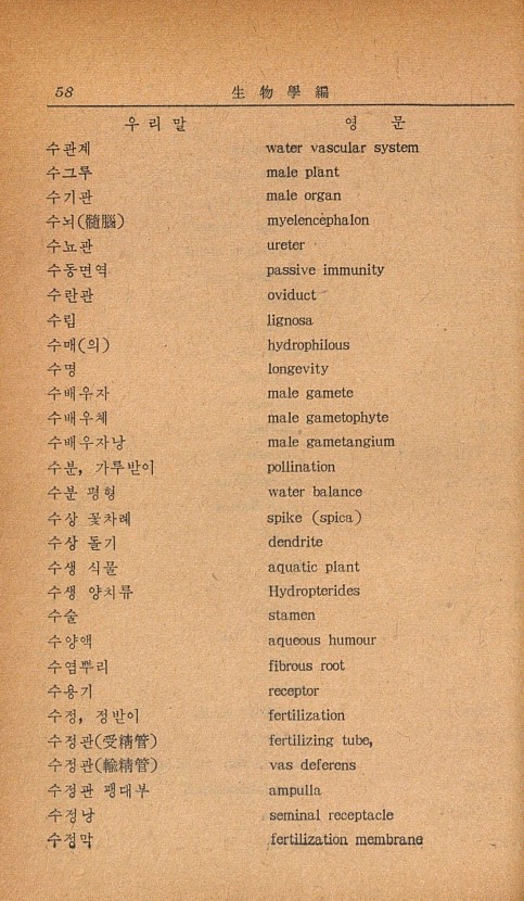 48페이지