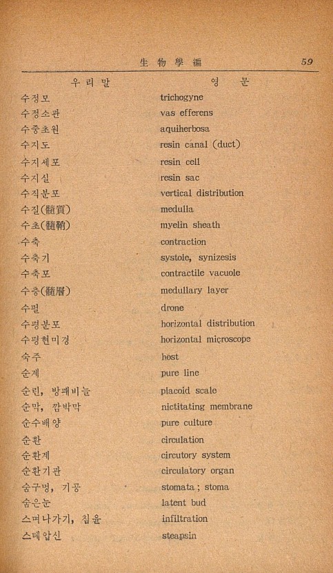 49페이지