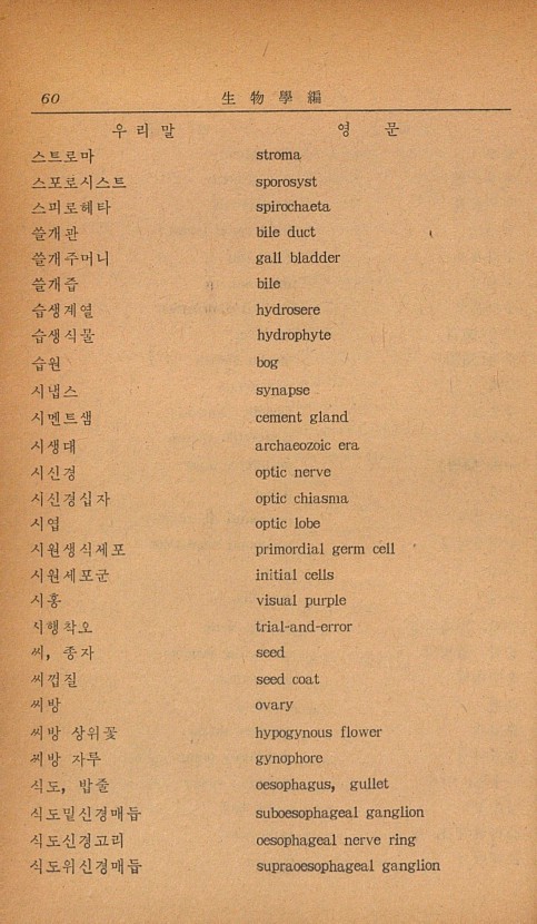 50페이지