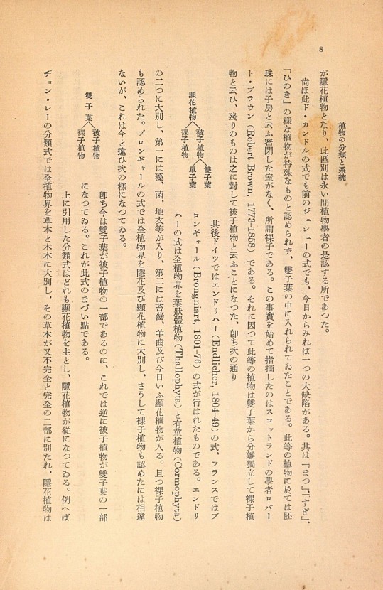 8페이지